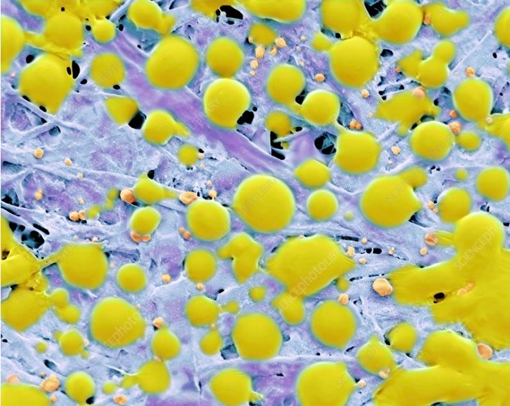 Screenshot 2020-04-27 at 09.16.48.jpg