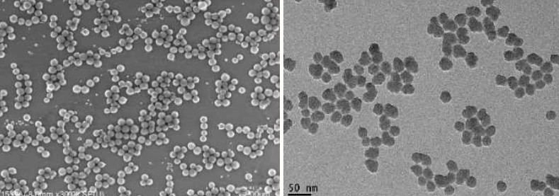 콜로이달 실리카(Colloidal Silica).jpg